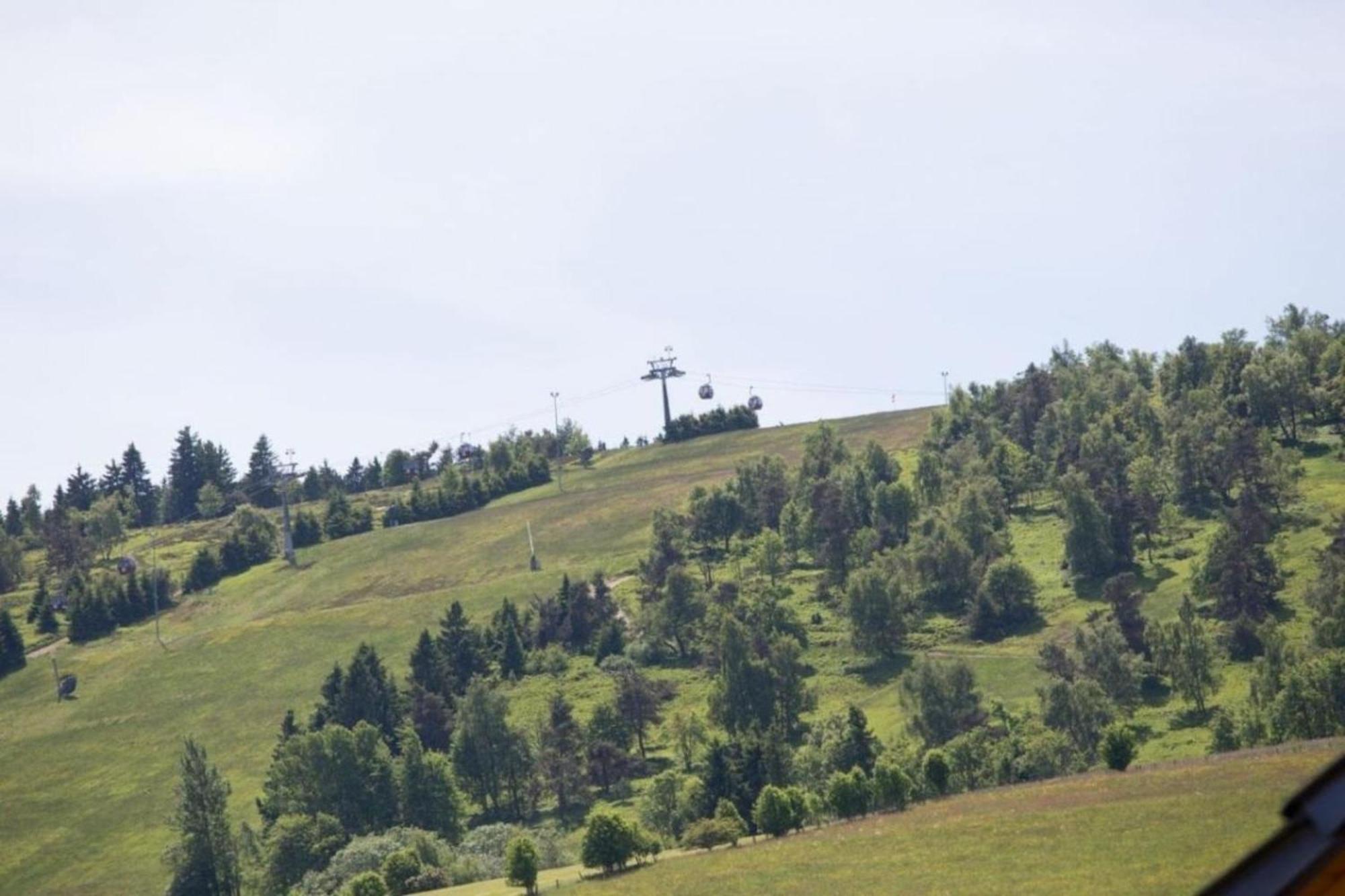 Ferienhaus Easy Holiday Am Ritzhagen Ehem Heinrichs Willingen  Kültér fotó