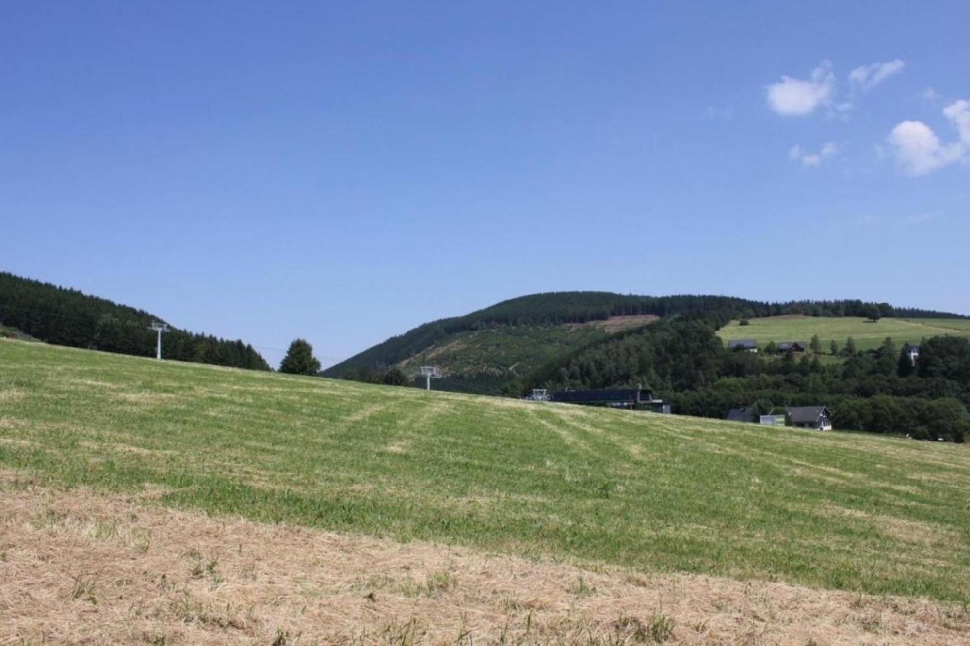 Ferienhaus Easy Holiday Am Ritzhagen Ehem Heinrichs Willingen  Kültér fotó